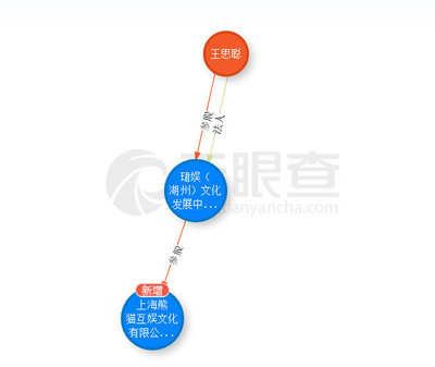 起底王思聰投資神話 吹出來的泡沫？